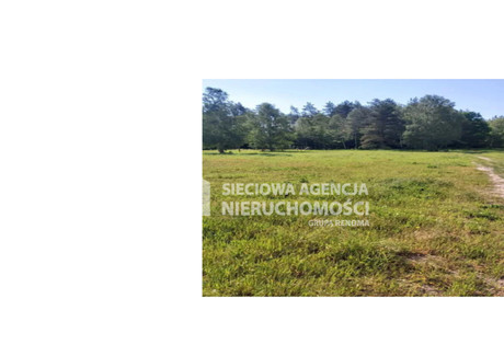 Działka na sprzedaż - Lewinko, Linia, Wejherowski, 1102 m², 165 300 PLN, NET-DJ940729