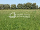 Rolny na sprzedaż - Kolnik, Pszczółki, Gdański, 8100 m², 445 000 PLN, NET-DJ508164