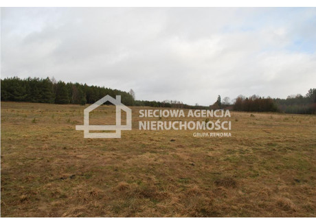 Działka na sprzedaż - Szczenurze, Wicko, Lęborski, 1000 m², 125 000 PLN, NET-DJ624313