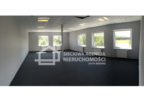 Biuro do wynajęcia - Letnica, Gdańsk, 139,31 m², 6269 PLN, NET-DJ427220