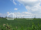 Rolny na sprzedaż - Sztutowo, Nowodworski, 15 900 m², 1 033 500 PLN, NET-DJ898478