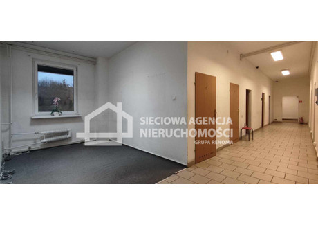 Lokal usługowy do wynajęcia - Morena, Gdańsk, 288 m², 14 400 PLN, NET-DJ375839