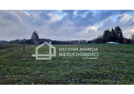 Działka na sprzedaż - Przęsin, Miastko, Bytowski, 3000 m², 180 000 PLN, NET-DJ229104