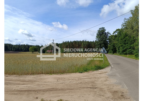 Działka na sprzedaż - Grabowo, Bobowo, Starogardzki, 3271 m², 115 000 PLN, NET-DJ456228