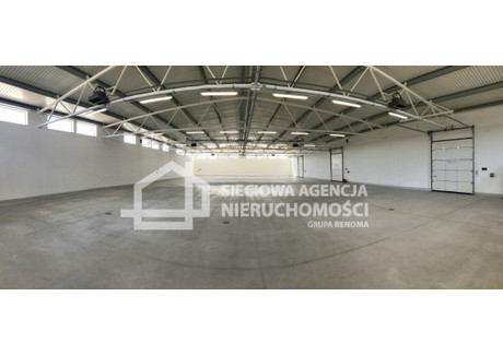 Hala do wynajęcia - Letnica, Gdańsk, 520 m², 18 200 PLN, NET-DJ455900