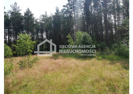 Działka na sprzedaż - Przodkowo, Kartuski, 6400 m², 435 000 PLN, NET-DJ229976