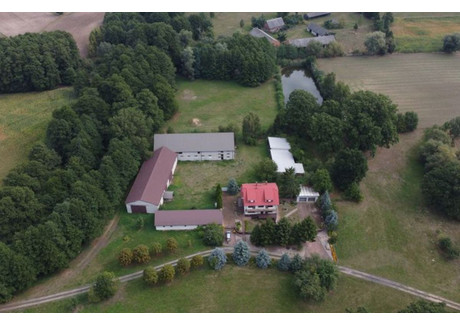 Dom na sprzedaż - Kramsk, Kramsk (Gm.), Koniński (Pow.), 204 m², 1 600 000 PLN, NET-4210