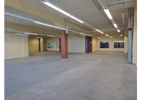 Magazyn, hala do wynajęcia - Kopanina Grunwald, Poznań, 370 m², 8510 PLN, NET-89