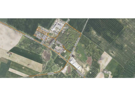 Działka na sprzedaż - Kaźmierska Młodasko, Kaźmierz, Szamotulski, 5000 m², 1 300 260 PLN, NET-161800183