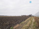 Rolny na sprzedaż - Ołtarzew, Ożarów Mazowiecki, Warszawski Zachodni, 21 700 m², 7 700 000 PLN, NET-363/5638/OGS