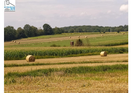 Działka na sprzedaż - Zbrosławice, Tarnogórski, 855 m², 250 000 PLN, NET-18103