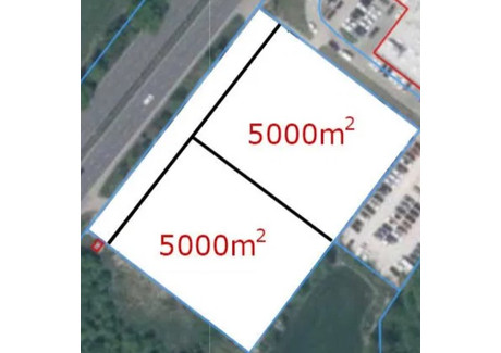 Działka do wynajęcia - Pruszkowski, 5000 m², 35 000 PLN, NET-12308