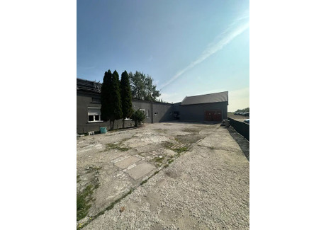 Magazyn do wynajęcia - Okęcie, Włochy, Warszawa, 350 m², 16 000 PLN, NET-12291