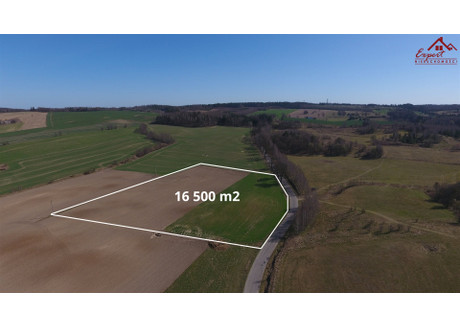 Działka na sprzedaż - Pietrzwałd, Ostróda, Ostródzki, 16 500 m², 290 000 PLN, NET-EXP-GS-8776