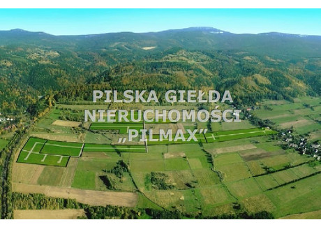 Działka na sprzedaż - Jaworek, Międzylesie, Kłodzki, 2121 m², 269 000 PLN, NET-PIL-GS-1158