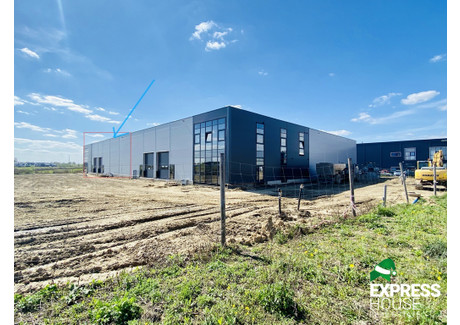 Magazyn, hala do wynajęcia - Jasin, Swarzędz, Poznański, 1365 m², 32 900 PLN, NET-204/4158/OHW