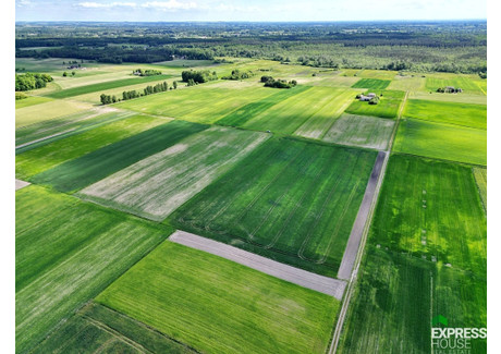 Działka na sprzedaż - Świerszczów, Cyców, Łęczyński, 21 900 m², 141 000 PLN, NET-1030/4158/OGS