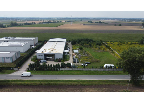 Działka do wynajęcia - Grota-Roweckiego Ołtaszyn, Krzyki, Wrocław, Wrocław M., 5000 m², 20 000 PLN, NET-FDM-GW-4932