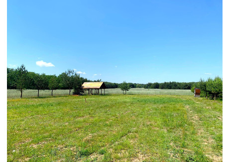 Działka na sprzedaż - Olimpia, Brudzew (Gm.), Turecki (Pow.), 1000 m², 35 000 PLN, NET-633