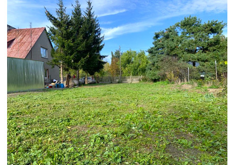 Dom na sprzedaż - Dzierzbice, Chodów (Gm.), Kolski (Pow.), 60 m², 102 000 PLN, NET-761