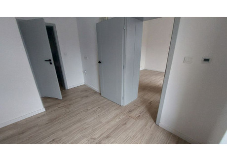 Lokal usługowy do wynajęcia - ok. CH Uniwersal Górniak, Górna, Łódź, 25 m², 1500 PLN, NET-5444