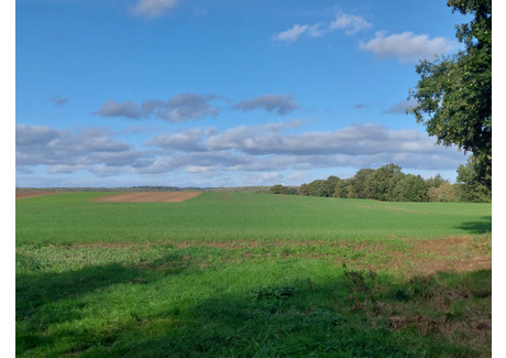 Działka na sprzedaż - Żelisławiec, Stare Czarnowo, Gryfiński, 9800 m², 80 000 PLN, NET-AVN22048