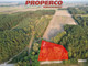 Dom na sprzedaż - Promnik, Strawczyn, Kielecki, 80 m², 300 000 PLN, NET-PRP-DS-73918