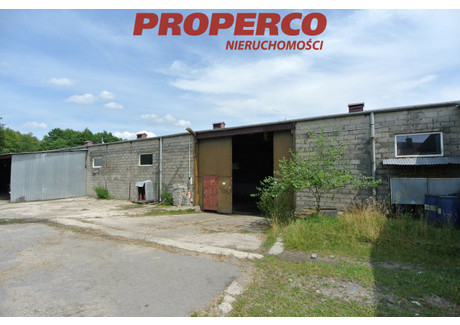 Magazyn do wynajęcia - Pierzchnianka, Pierzchnica, Kielecki, 2000 m², 9500 PLN, NET-PRP-HW-73546