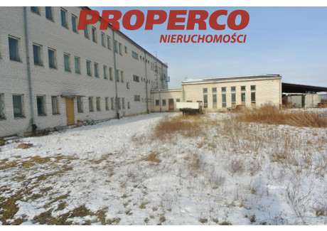 Magazyn na sprzedaż - Jędrzejów, Jędrzejowski, 17 184 m², 15 000 000 PLN, NET-PRP-HS-71345-23