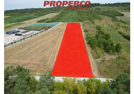 Działka na sprzedaż - Sobków, Jędrzejowski, 4900 m², 250 000 PLN, NET-PRP-GS-73551