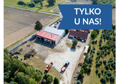 Komercyjne na sprzedaż - Paparzyn, Stolno, Chełmiński, 20 750 m², 2 650 000 PLN, NET-28/14150/OOS