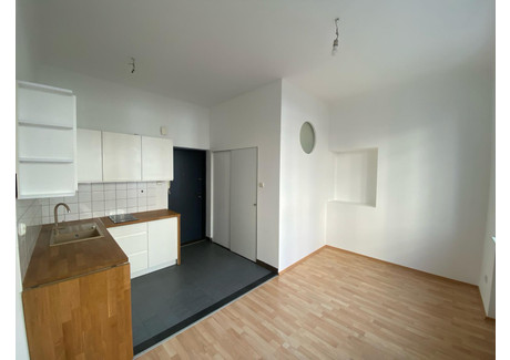 Mieszkanie do wynajęcia - PCK Śródmieście, Katowice, 18 m², 1300 PLN, NET-19