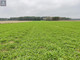 Rolny na sprzedaż - Tańsk- Grzymki Tańsk-Przedbory, Dzierzgowo (Gm.), Mławski (Pow.), 11 400 m², 65 000 PLN, NET-L/04/11/2022