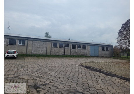 Magazyn na sprzedaż - Brzeziny, Brzeziński, 680 m², 1 350 000 PLN, NET-HPK-HS-9838