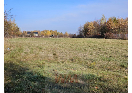 Działka na sprzedaż - Pniewy, Grójecki, 2383 m², 226 000 PLN, NET-299/454/OGS