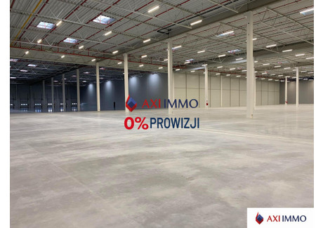 Magazyn do wynajęcia - Poznań, 7000 m², 25 200 Euro (108 864 PLN), NET-8751