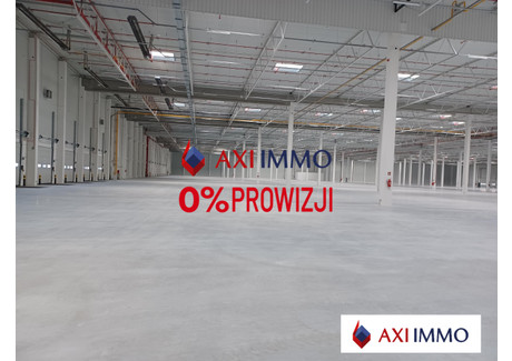 Magazyn do wynajęcia - Szczecin, 3280 m², 59 040 PLN, NET-8801