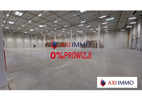 Magazyn do wynajęcia - Gdańsk, 6000 m², 18 000 Euro (77 760 PLN), NET-8804