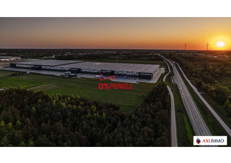 Magazyn do wynajęcia - Mszczonów, Żyrardowski, 6000 m², 24 000 Euro (104 160 PLN), NET-8843