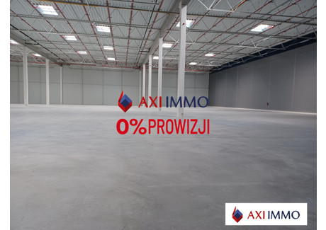 Magazyn do wynajęcia - Włocławek, 8000 m², 23 200 Euro (100 224 PLN), NET-8665