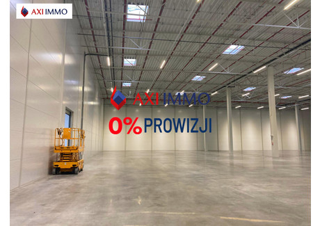 Magazyn do wynajęcia - Kraków, Krakowski, 8000 m², 136 000 PLN, NET-8698