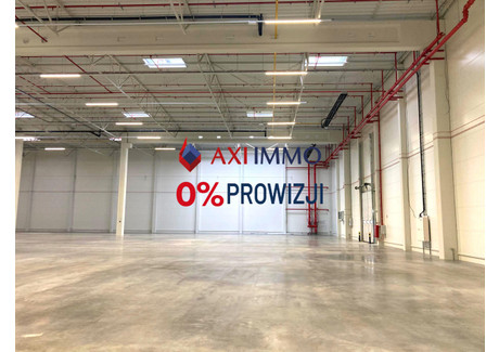 Magazyn do wynajęcia - Kraków, Krakowski, 4000 m², 68 000 PLN, NET-8808