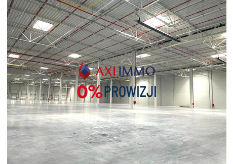 Magazyn do wynajęcia - Rzeszów, Rzeszowski, 20 000 m², 72 000 Euro (307 440 PLN), NET-8927