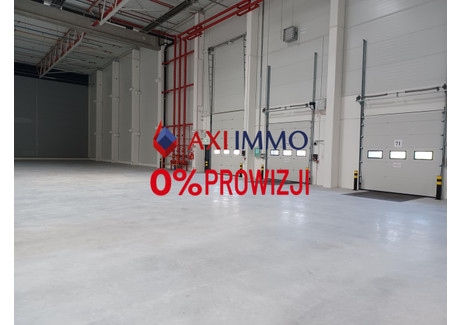 Magazyn do wynajęcia - Szczecin, 13 130 m², 51 207 Euro (221 214 PLN), NET-8825