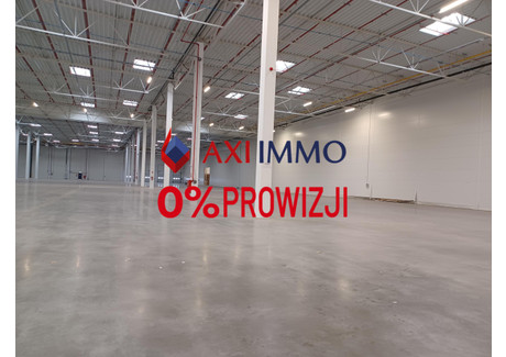 Magazyn do wynajęcia - Szczecin, 2433 m², 9124 Euro (39 415 PLN), NET-8902