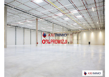 Magazyn do wynajęcia - Łyszkowice, Łowicki, 5000 m², 12 000 Euro (51 840 PLN), NET-8517