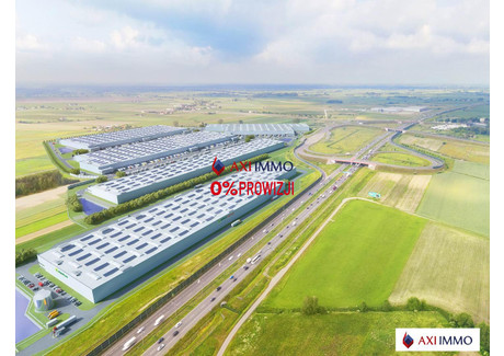 Magazyn do wynajęcia - Żyrardów, Żyrardowski, 6000 m², 28 800 Euro (122 976 PLN), NET-9053