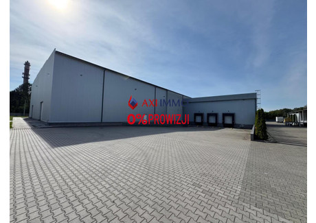 Magazyn na sprzedaż - Aleksandrów Łódzki, Zgierski, 3870 m², 11 550 000 PLN, NET-9086