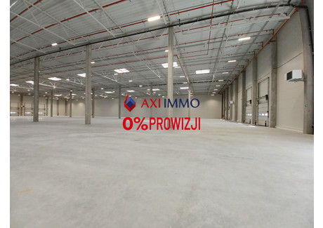 Magazyn do wynajęcia - Nowosolna, Łódzki Wschodni, 5000 m², 14 000 Euro (60 480 PLN), NET-8939