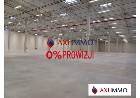 Magazyn do wynajęcia - Szczecin, 5450 m², 19 075 Euro (82 976 PLN), NET-8575